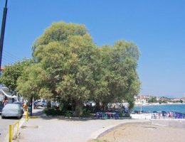 Το domain μας είναι η ταυτότητα της πόλης μας!